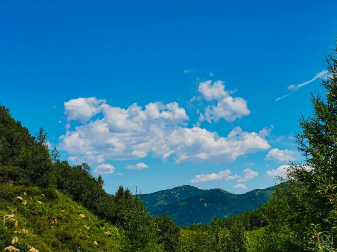 徒步穿越北驼梁完整版,穿越花海古道游记