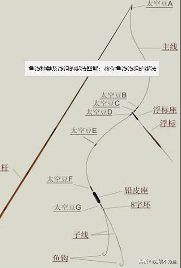 野钓通用主线子线搭配一览表,野钓主线子线搭配一览