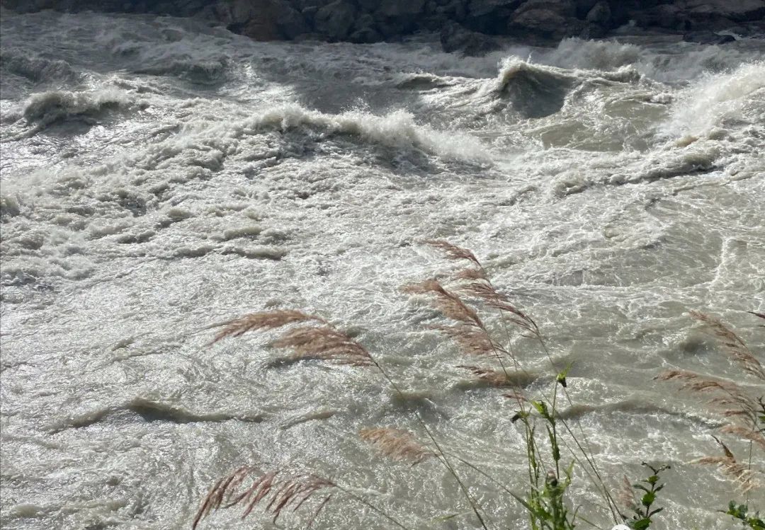 青藏高原原创版,歌曲翻唱青藏高原