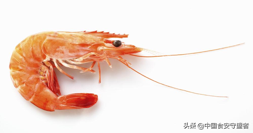虾属寒性还是热性,虾酱营养价值
