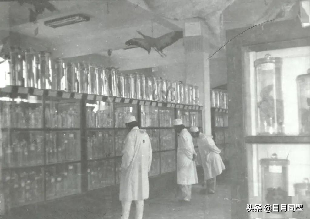 往事丨1992年，他们在武汉策划了一次消毒艺术运动