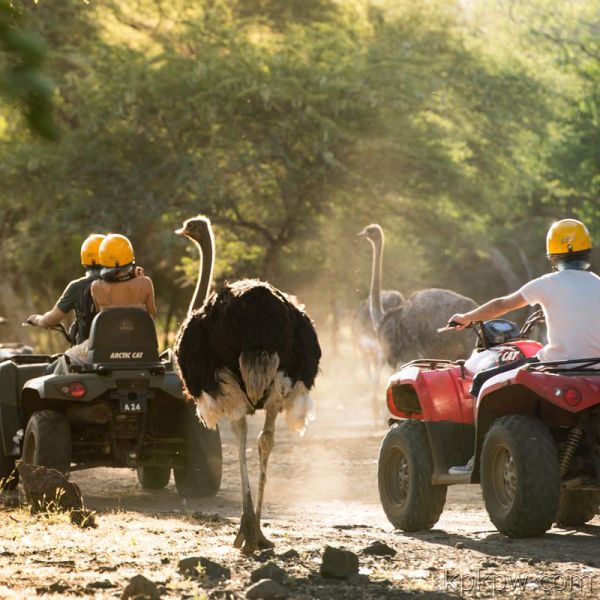 毛里求斯惬意之旅,毛里求斯旅行体验