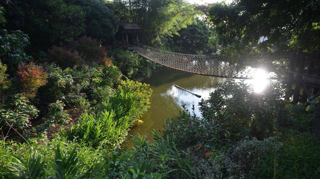 深圳青青世界有什么好玩,深圳青青世界亲子套票