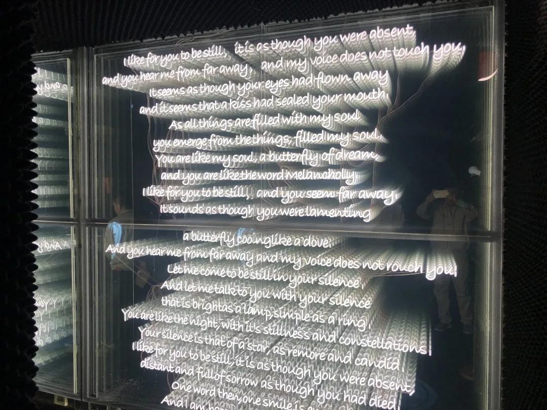 晚餐时间到!餐厅运营、清洁、设计和设计,一站式搞定