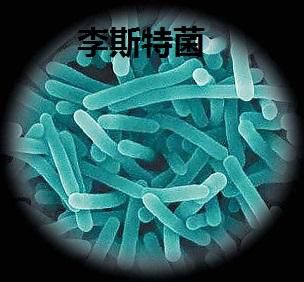“冷酷”的“杀手”——李斯特菌