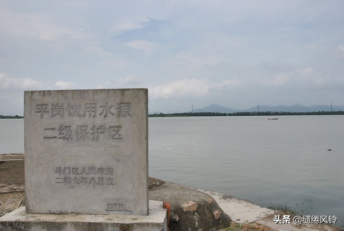 珠海竹洲水松林,意外发现的珠中江“SB”界碑,究竟作何解释?