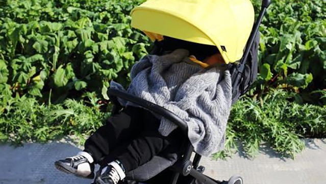 婴儿车安全风险有多大,婴儿推车安全性最高