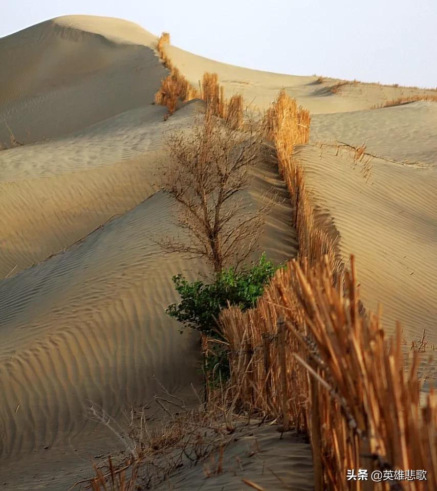 黄沙为何暴涨,黄沙价格最新市场价