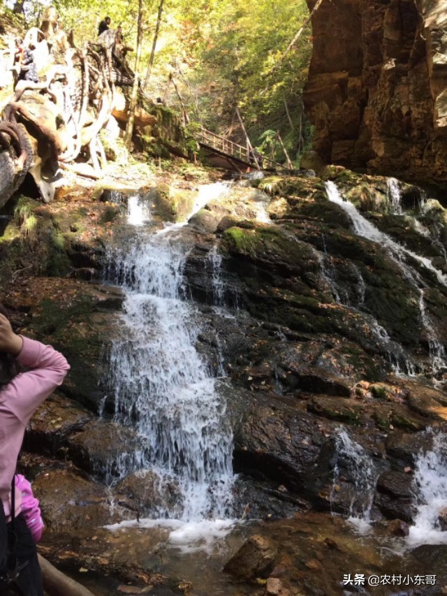 全国一村一品示范村镇第九批,全国一村一品示范村镇名单公布