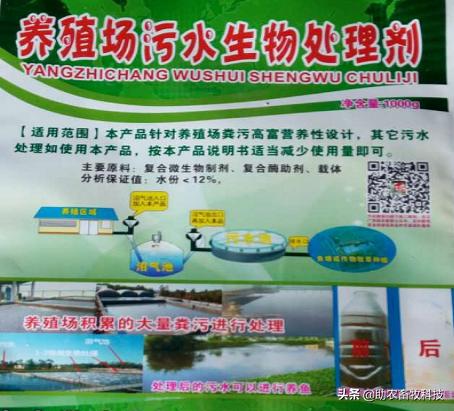 鱼塘水质差用什么改善水质,鱼塘流入养殖场废水如何处理