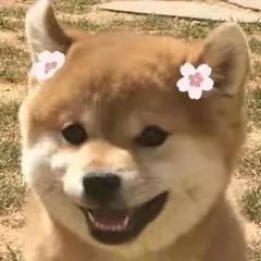 抑郁症患者带着微笑背后是黑暗,抑郁症患者假装微笑