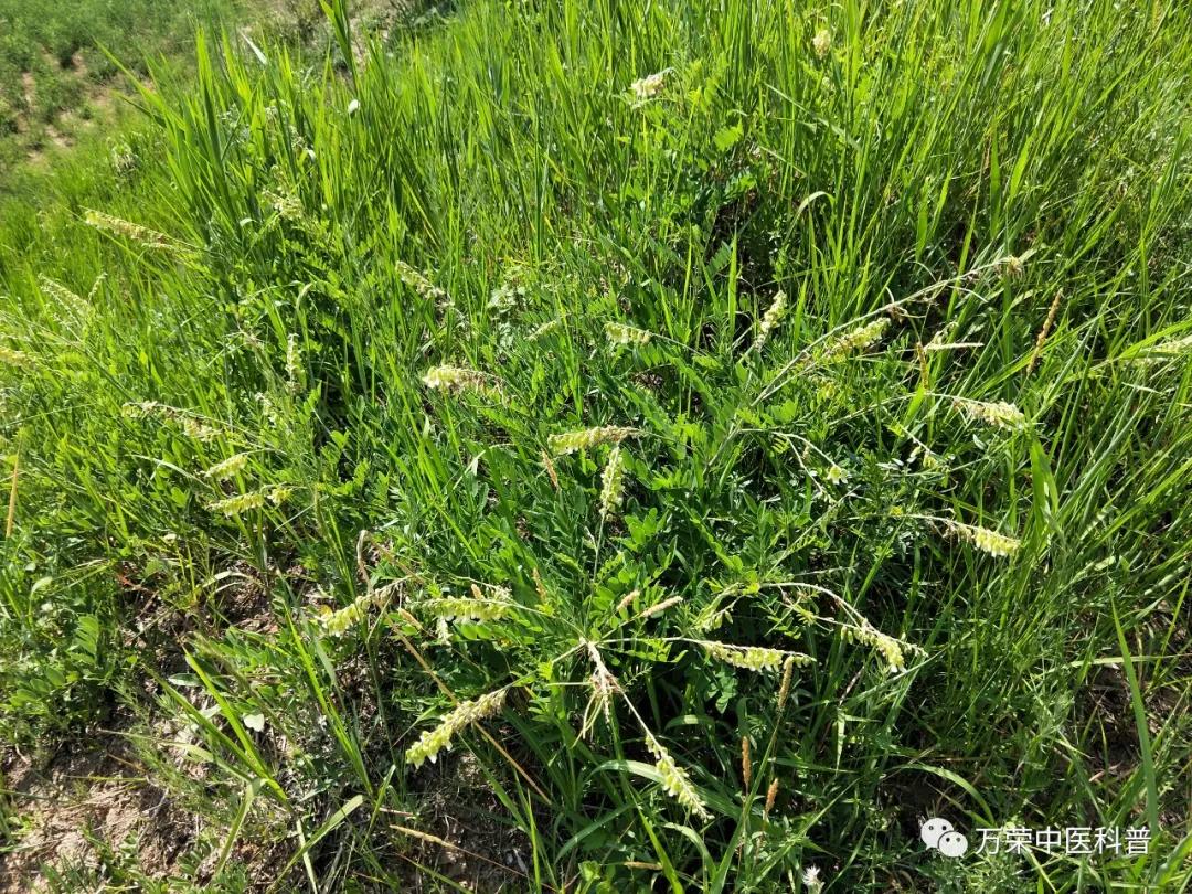 跟我回家在线免费看,跟我回家免费看