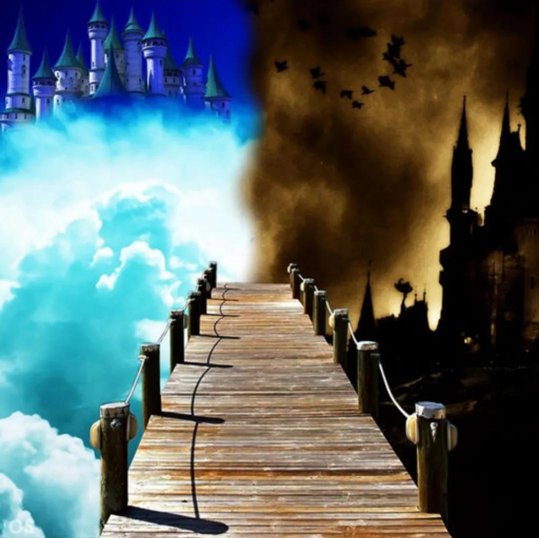 深圳富婆们的生活之嫁入豪门,深圳富婆们的生活