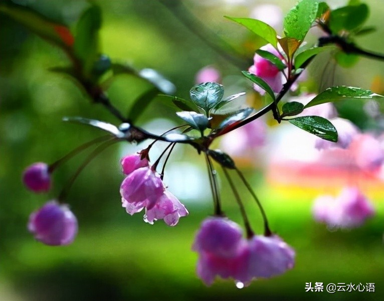 黄庭坚的一首七律，文笔非凡，更有言外之意