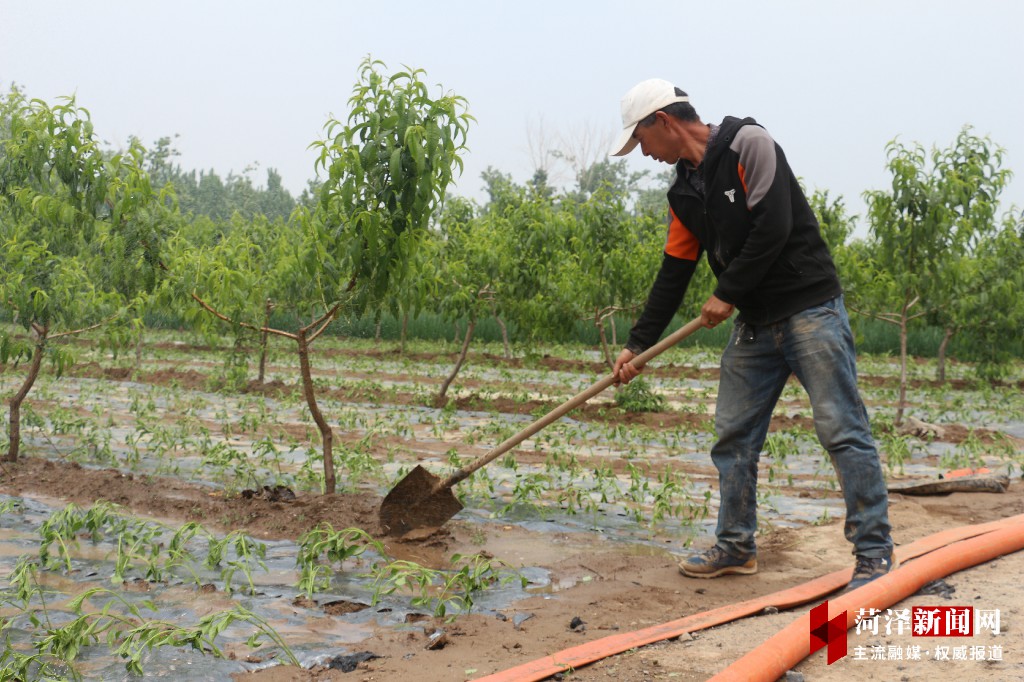 山东郓城农村环境整治,郓城县环境整治