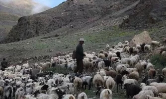 乡情散文故乡的老屋,乡情散文致敬当年的下乡知青