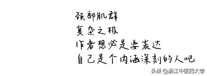 Amazing怎么写,wonderful怎么画