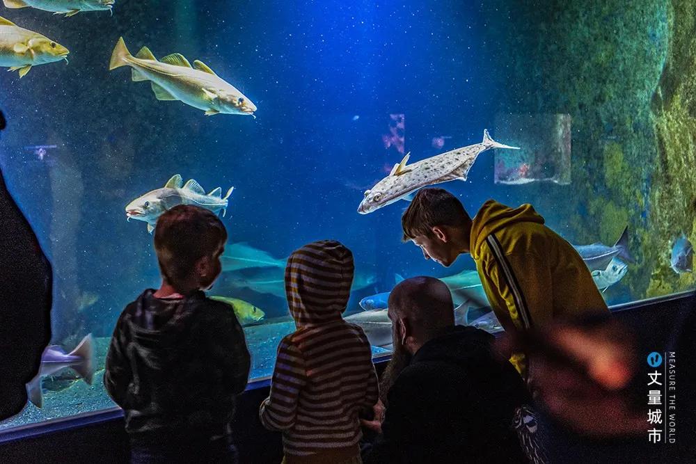 维京遇到全域旅游,美丽乡村、特色小镇一网打尽:挪威渔业史漫步