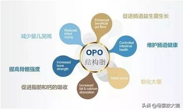 羊奶粉最贵的多少钱,进口婴幼儿奶粉排名前十名羊奶粉