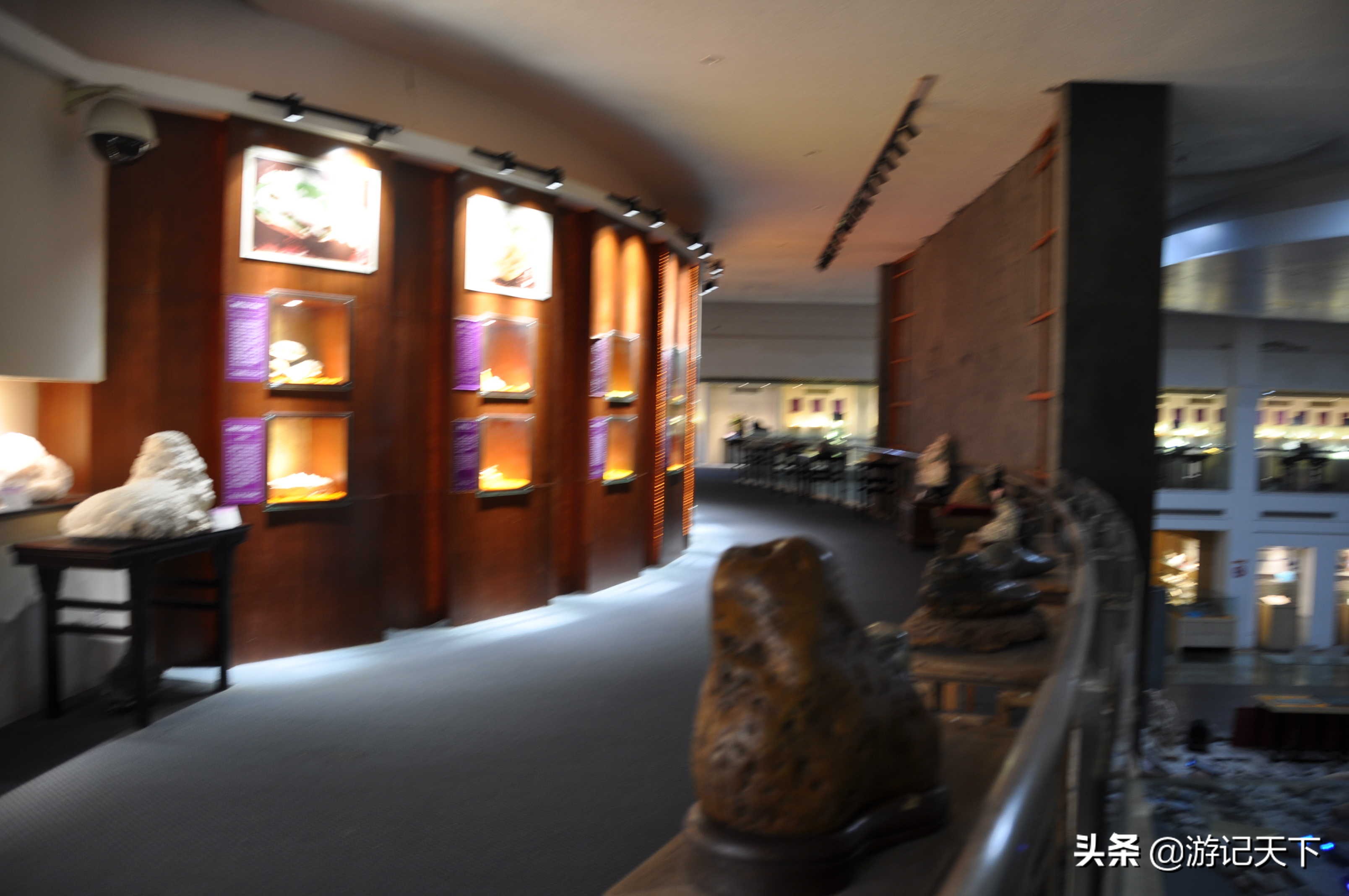 阿尼亚参观博物馆,上海地质科普馆游玩