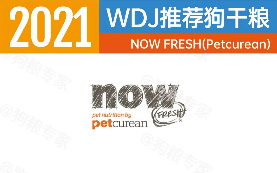 wdj2022鐙楃伯鎺ㄨ崘,wdj杩涘彛鐙楃伯