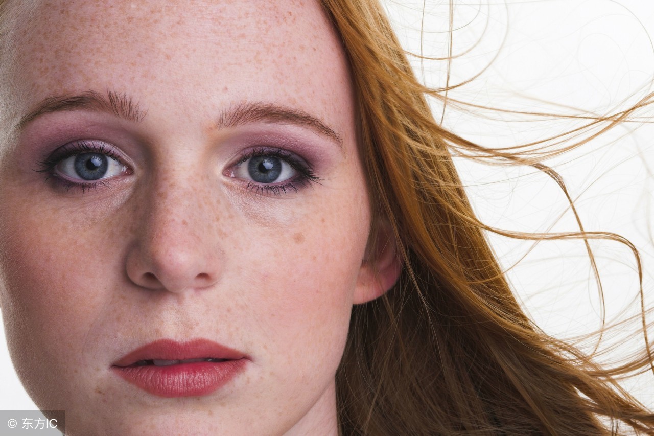 仙人掌有褐斑,仙人掌长褐斑