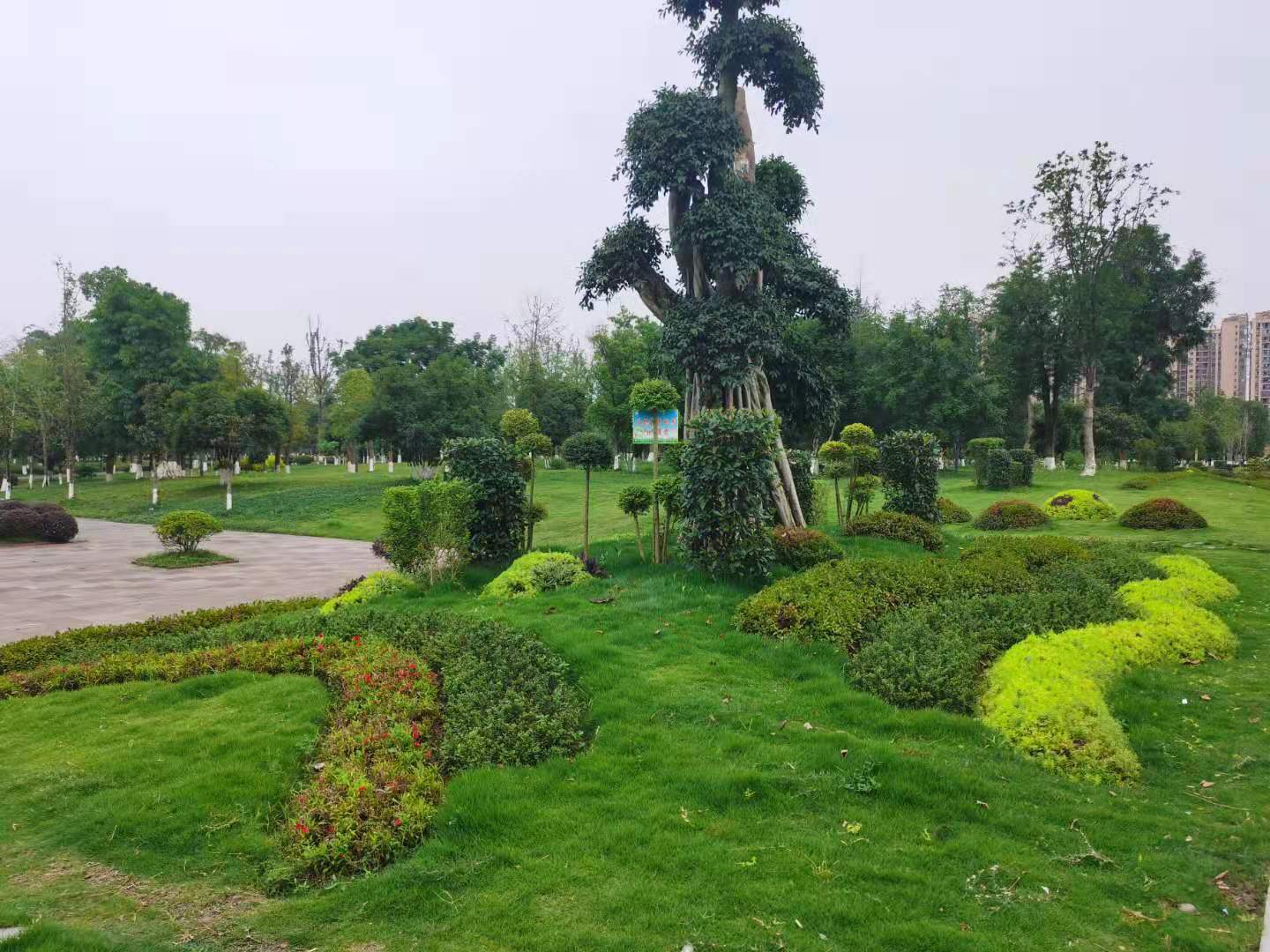 离蔡家的龙湖商业最近的这个小区怎么样?柠檬谈小区之北城未来