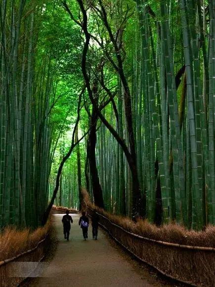 南怀瑾凡事不能太过圆满,南怀瑾做大事的人