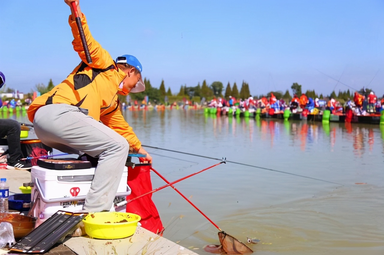 钓鱼钓不到是饵的问题吗,钓鱼饵料如何选择秘制饵料