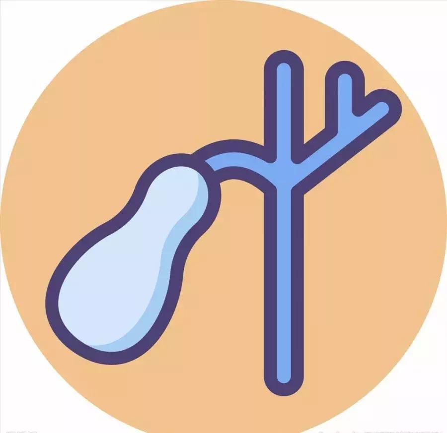 胆囊息肉会癌变吗?听医生的,医生说了算