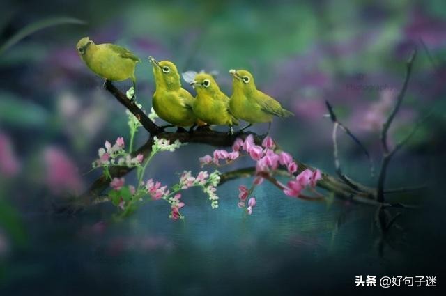 人生感悟英文短句子，句句入骨，看完你会明白很多！