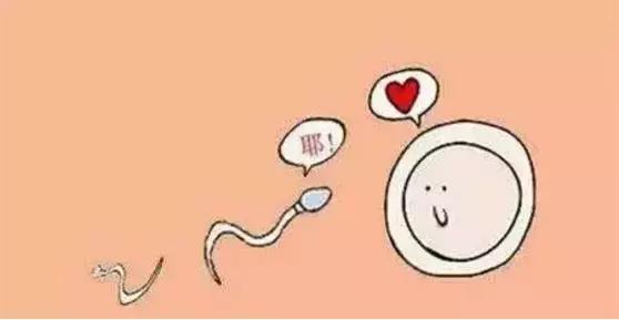 精尽人亡?一滴精=十滴血?看完心里有底了