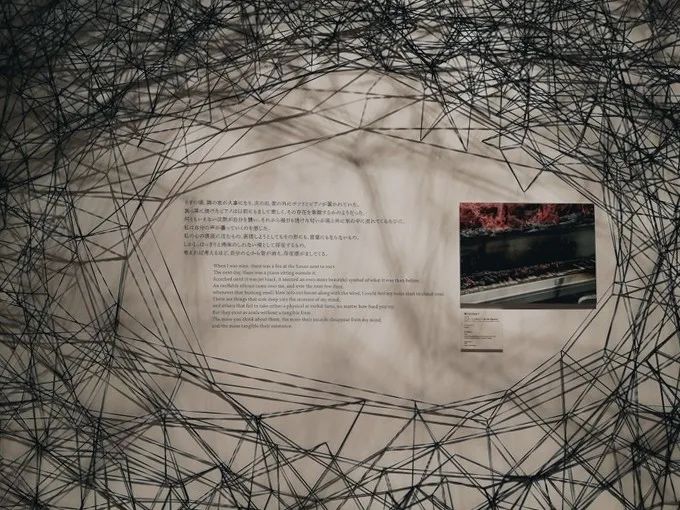 日本攻略你不会注意到的细节,日本攻略指南