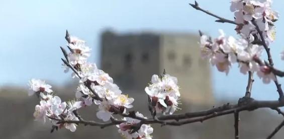 又是一年春光好完整版,又是一年春光好文明旅游