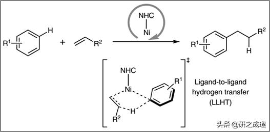 鍌寲蹇姤鏈熷垔,鍌寲鏉傚織灏侀潰