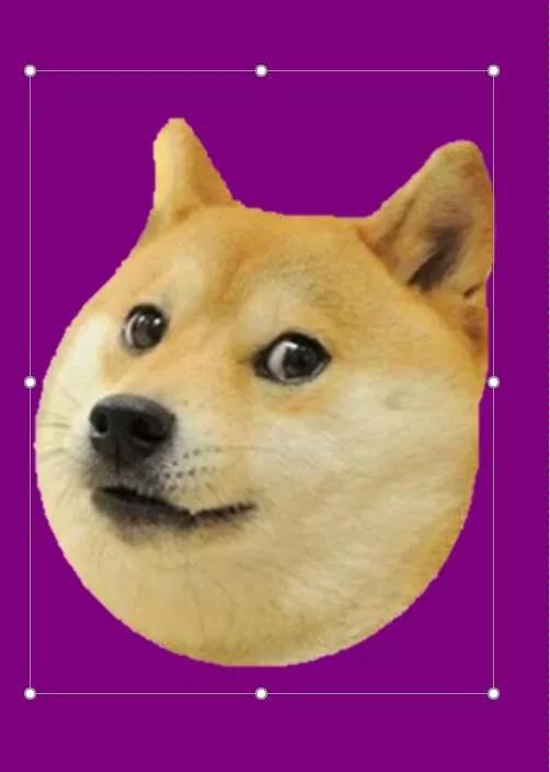 办公室逃生指南,办公室自救指南