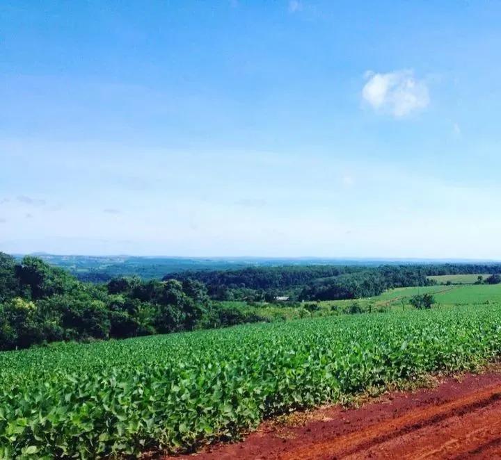 用钱去做农业会怎样,去农村搞种植业投资怎样做最好