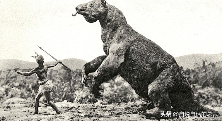 牛油果是坏了吗,牛油果几十年前