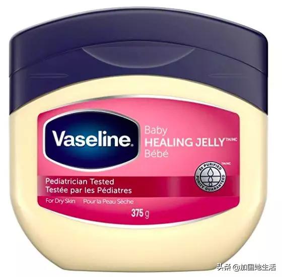 加拿大养小孩福利,加拿大养宠物必备什么