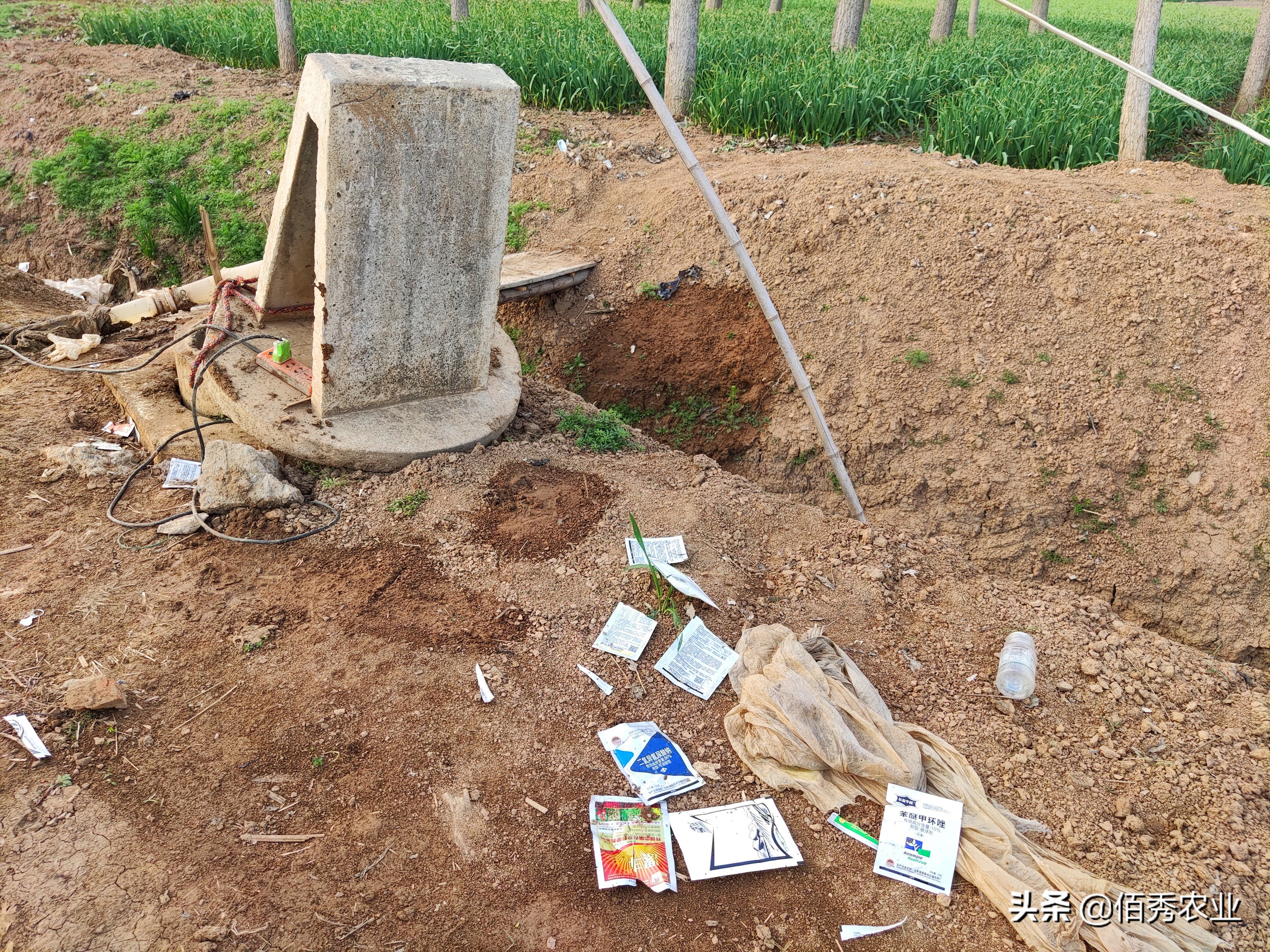 为什么韭菜要打这么多农药,韭菜用杀菌剂好吗视频