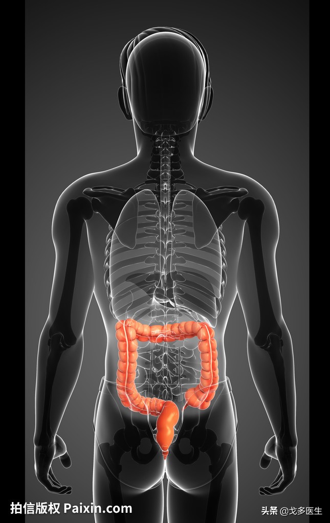 肚子疼真的那么简单吗？——慢性腹痛的一点点点的事