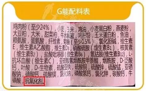 男人女人小孩咱都说过了,今天来说说这个重要家庭成员