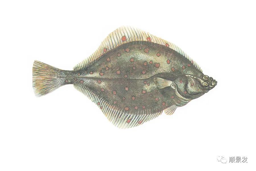 挪威和中国签订协议,挪威希望与中国加强合作