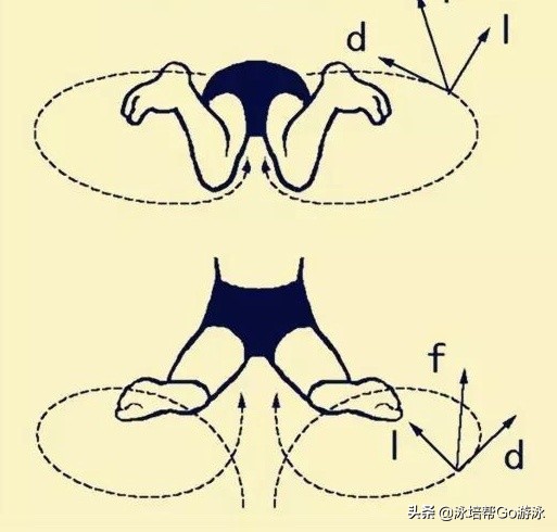 如何快速提高蛙泳速度,新手蛙泳怎么能快速提高速度