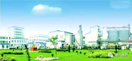 山东肉牛养殖企业排名前十强,滨州博兴十大企业名单