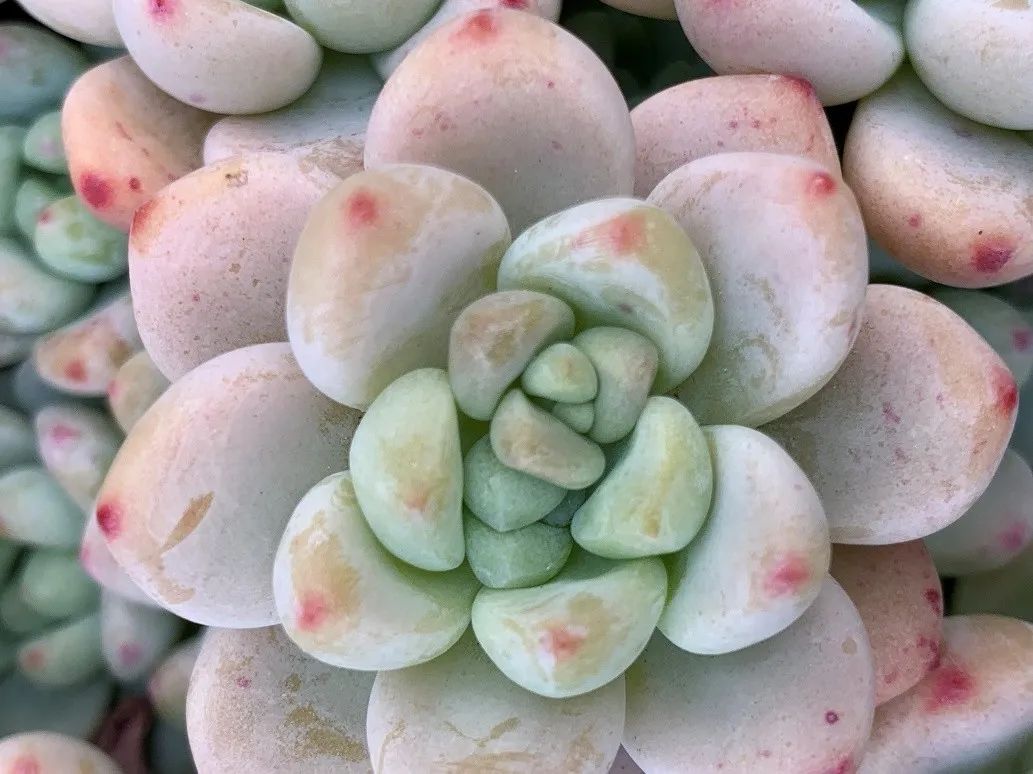 禁足的日子收获颇多,禁足