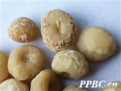 抗癌十味方,抗癌草药十大名方