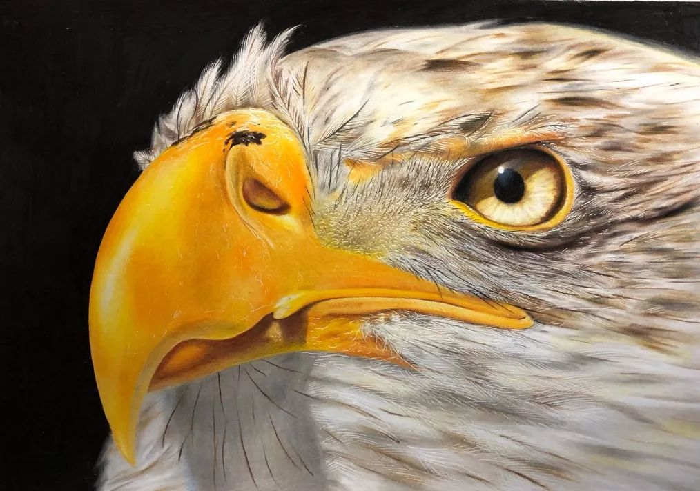 失明女孩铅笔画,手绘眼睛流泪铅笔画