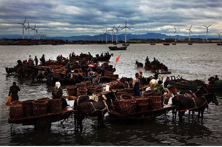 营口最美的景点,中国最美海滩营口