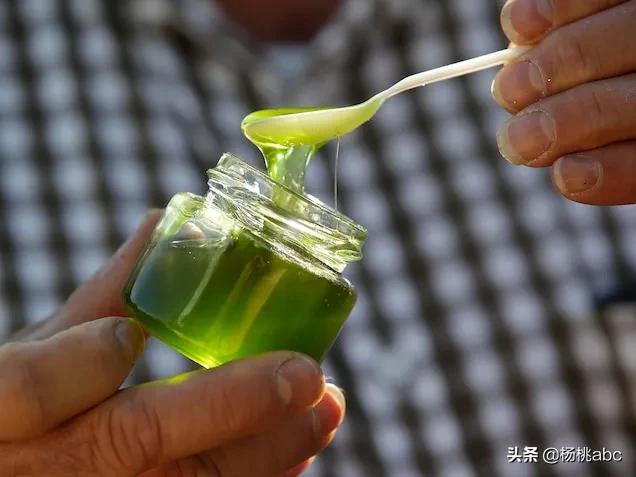 养蜂人发现蓝色蜂蜜,法国蓝色蜂蜜